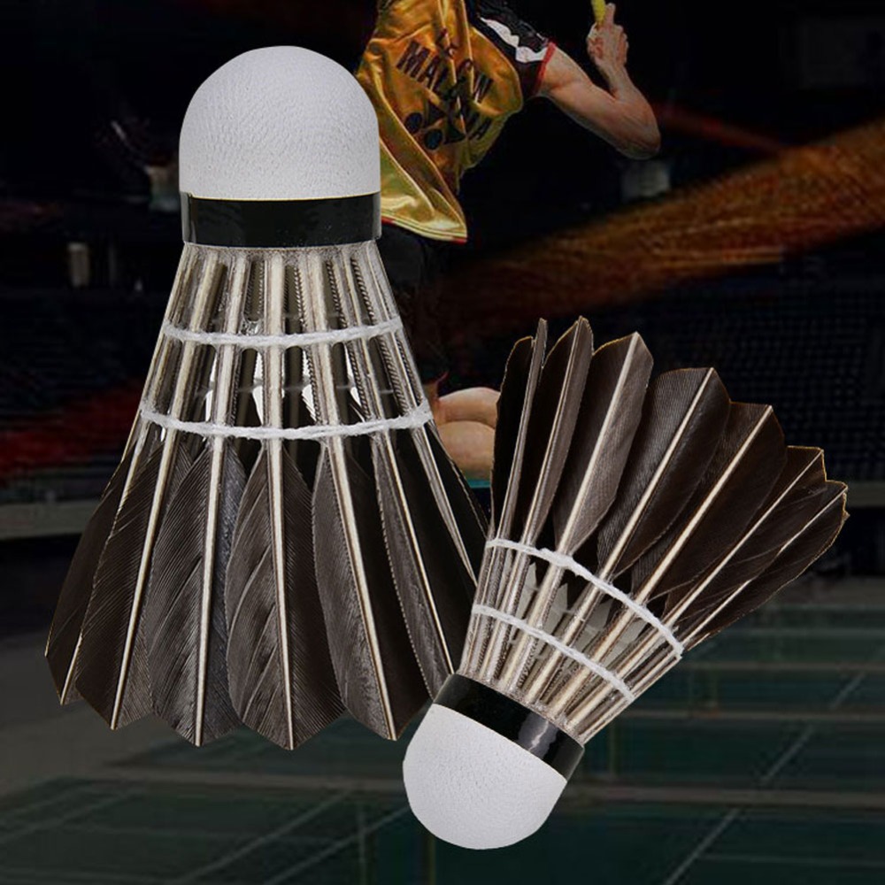 3/6/12Pcs Household Sport Trai - Feather Shuttlecock review and price